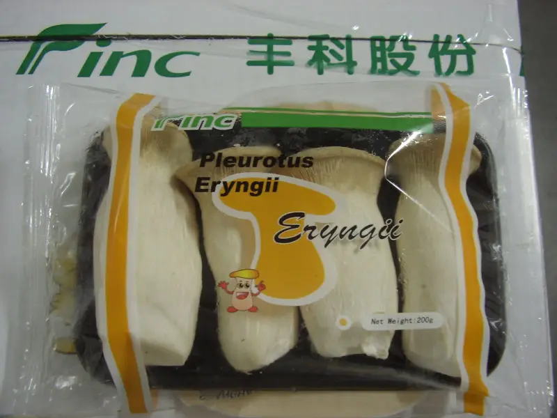 
king oyster mushroom 