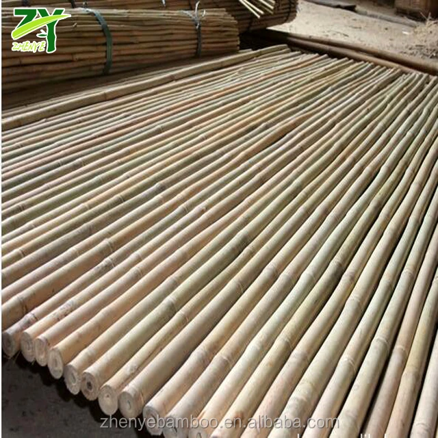 
HOT!!! ZY-1022 Tsinglee Bamboo Canes Tonkin Bamboo Poles for Nursery Garden Horticulture Plantation Agriculture Factory Price! 