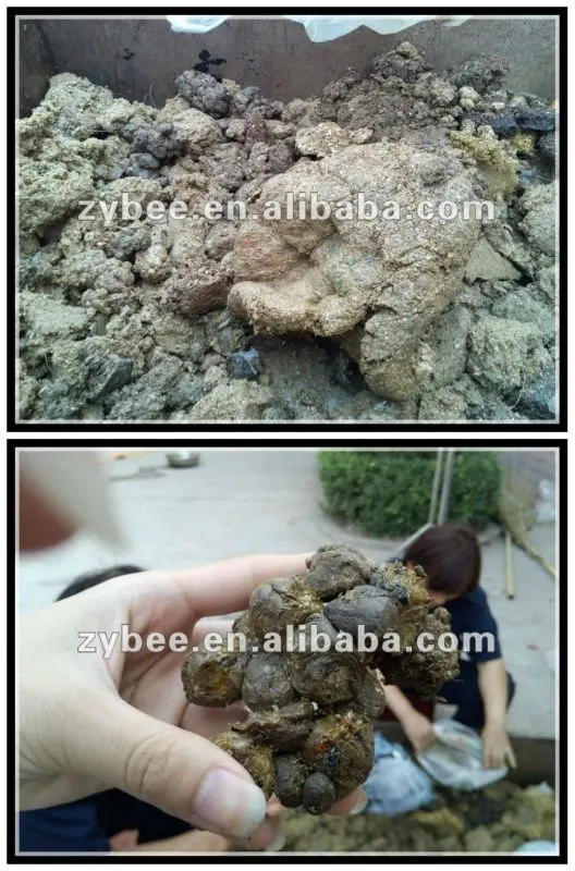 extrato de propolis, crude propolis , propolis in block