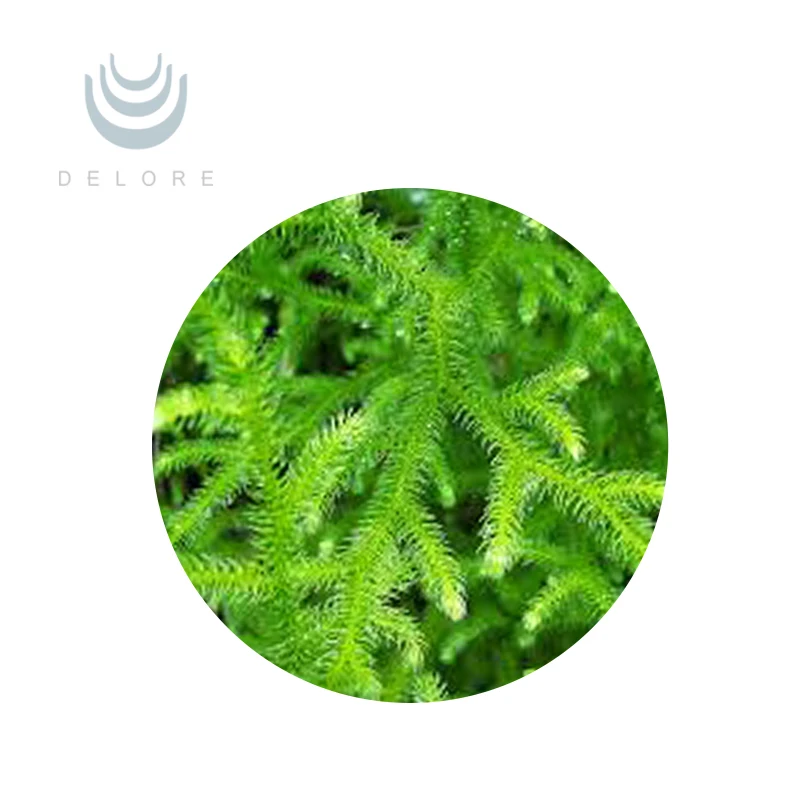 100% Natural Melaleuca Tower Extract and Huperzine A Powder