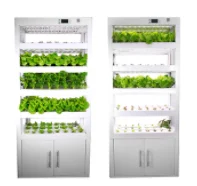 Smart hydroponic led indoor herb garden growing kit