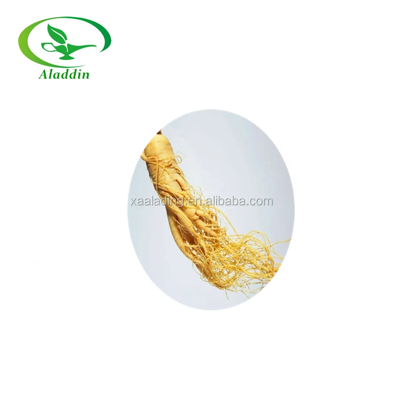 100% Natural fresh Ginseng Root Extract Powder benefits for men