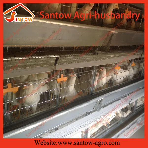 wholesale live birds trap cage on sale