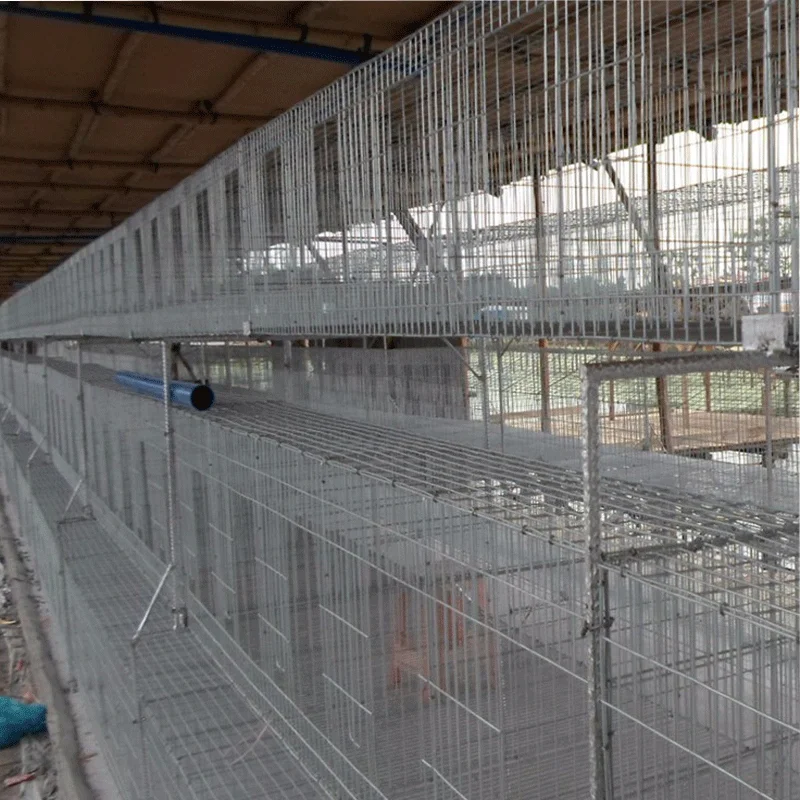 SSD Design meat broiler battery chicken cages for sale