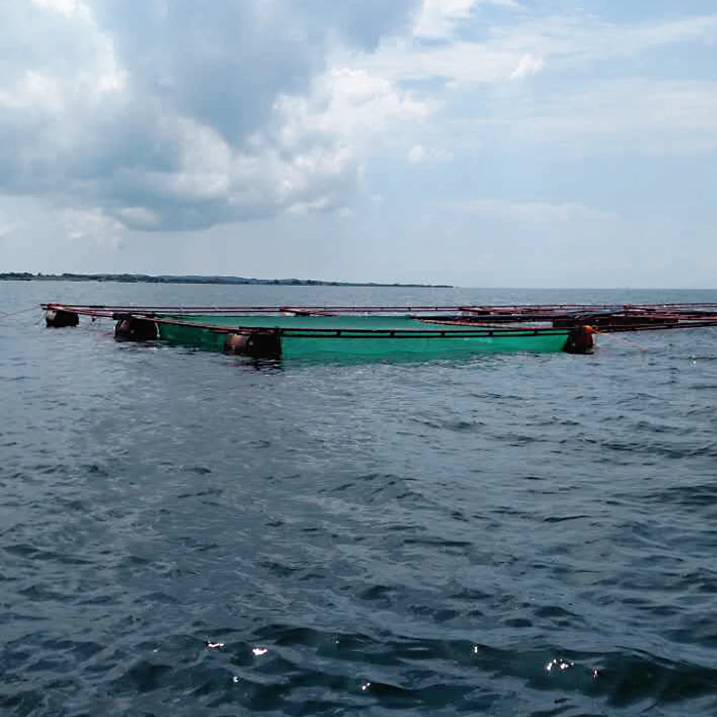 fishing net fish cage floating china purse seine net