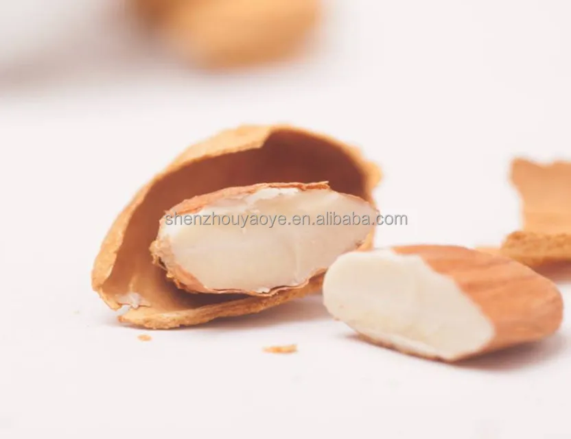 
China Sweet Almonds-Badam with shell 