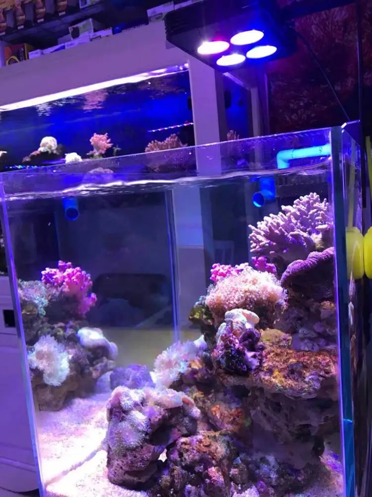 
LED Lamp Wholesale A052 52W full spectrum touch control aquarium LED Light 