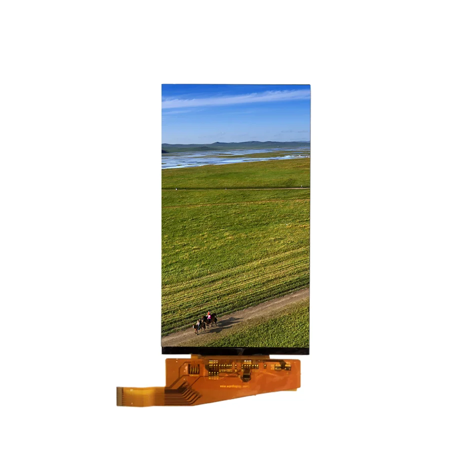 ILI9881 5 inch lcd panel 720p hd mipi dsi interface lcd display with touch option