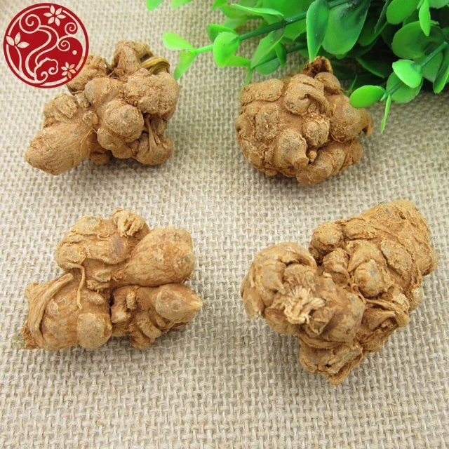 hot sale panax pseudo-ginseng San qi