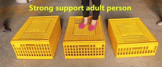 
Poultry farming equipment Live chicken transport crates /transport baskets for sale 