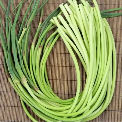 2020 china young garlic shoot , 250g one bundle