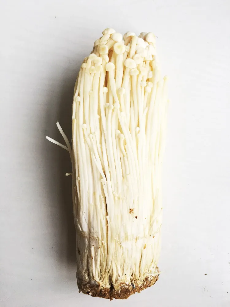 Detan Fresh Enoki, ботаническое название гриба