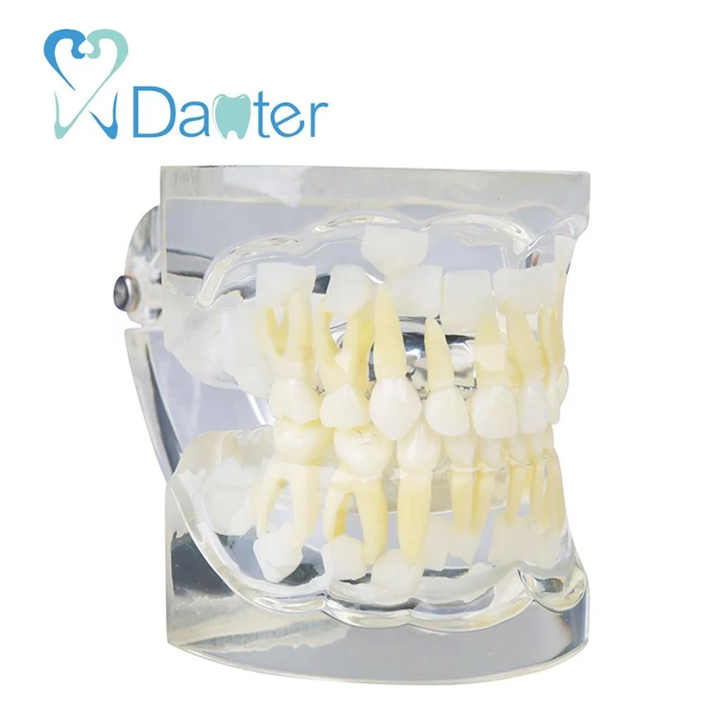 new arrival pediatric model for 3 years old