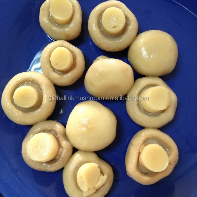 
wholesale canned mushroom price 