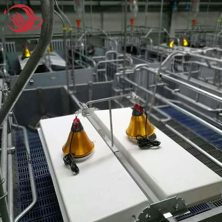 Piggery Farm Equipment, Galvanized Pig Farrowing Crates