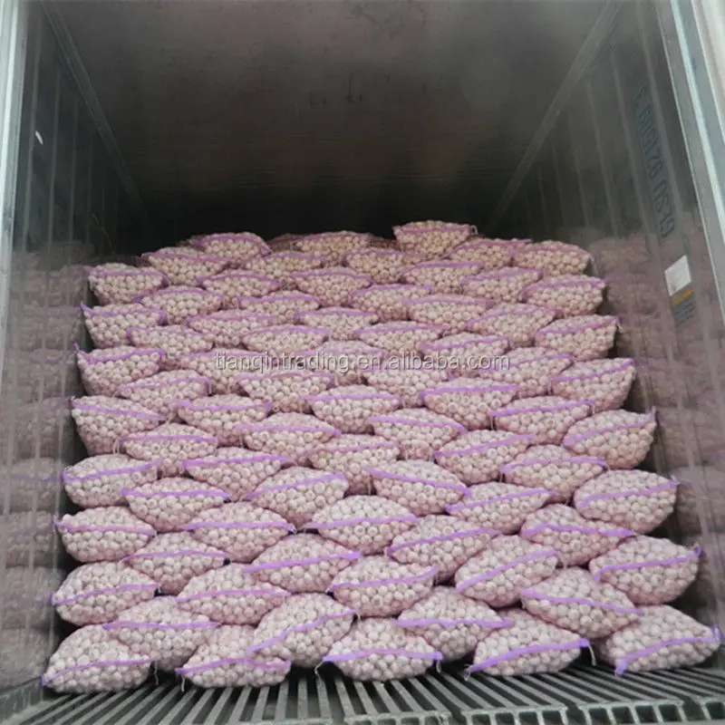 10 кг пакетов чеснока для Анголы