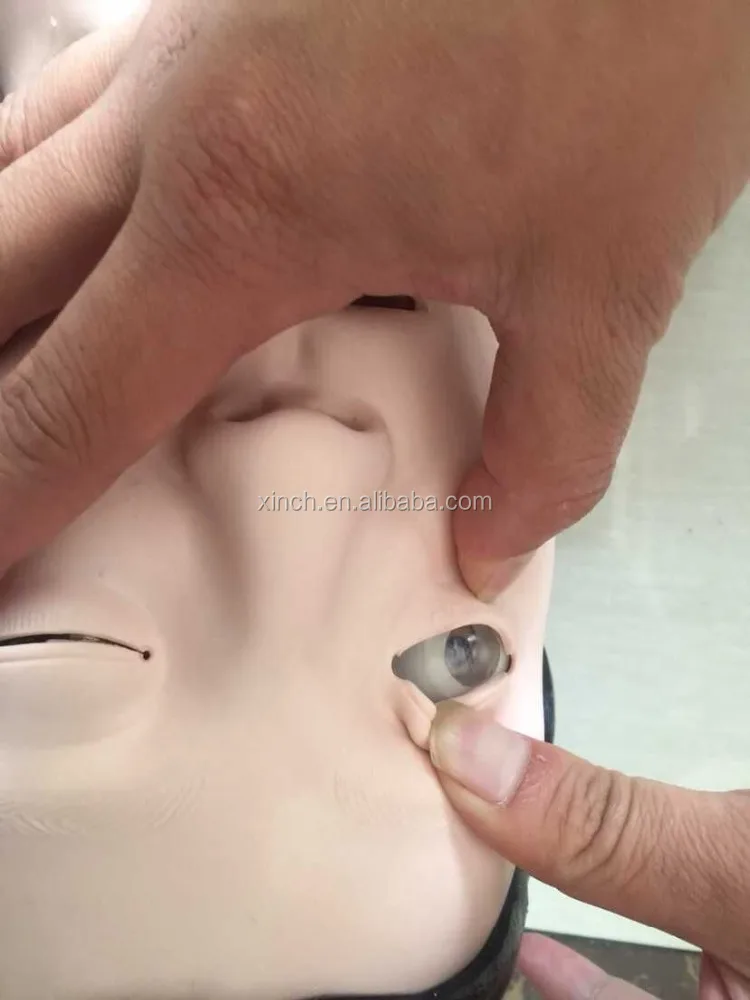 XC-404A Xincheng Scientific Advanced half-body cpr training manikin