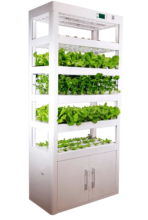 
Urban Farm Indoor Smart Hydroponic Greenhouse Vertical Microgreen Growing System 