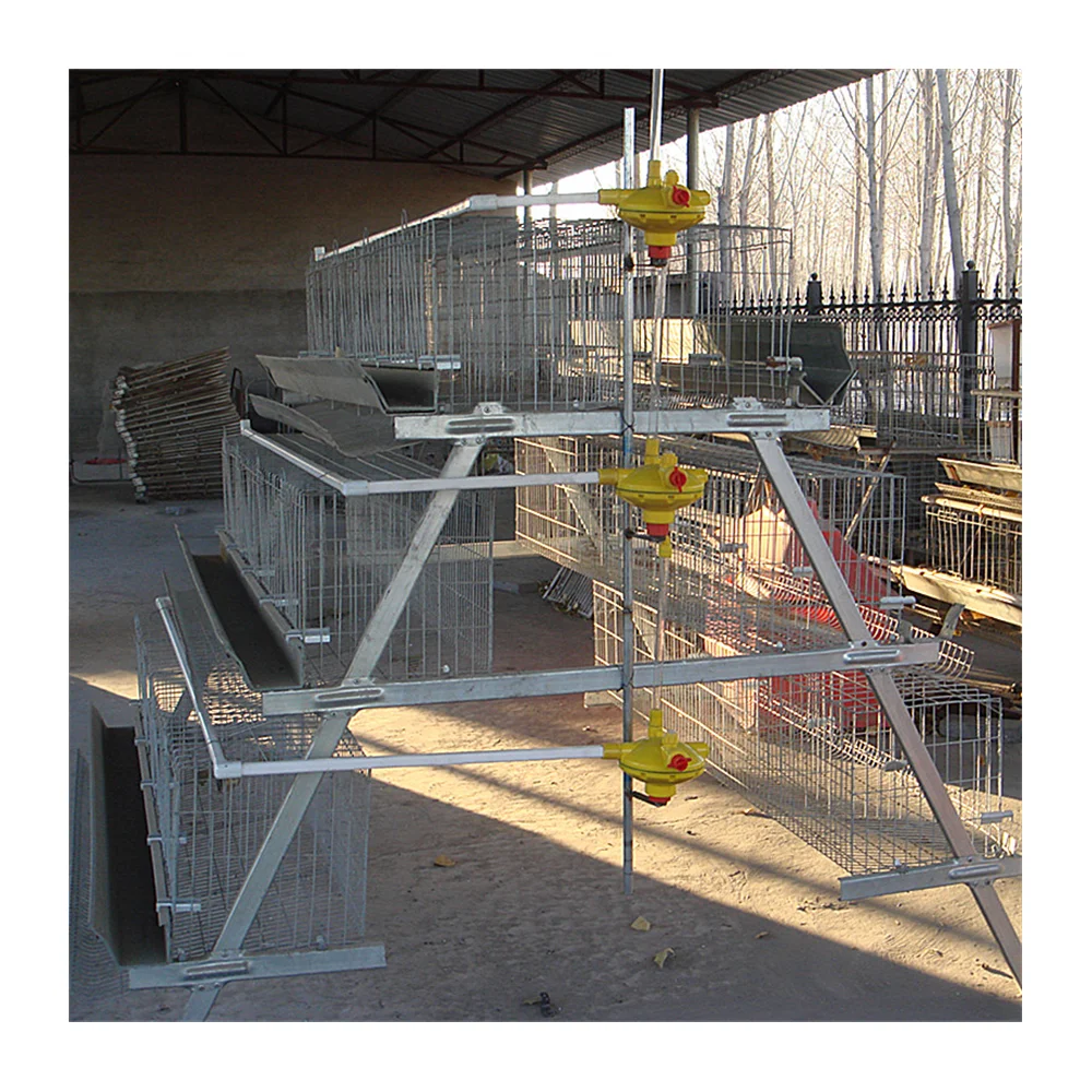 Бизнес-план для птицефермы на английском языке