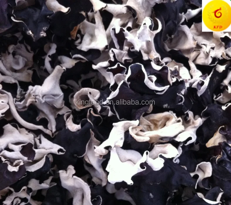 High Quality Black and White Fungus Strip Available