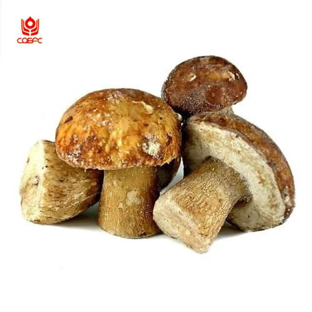 
frozen porcini mushrooms,fresh porcini recipe 