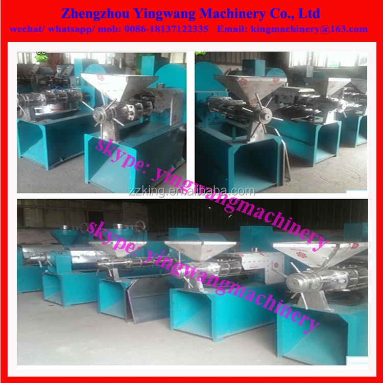 Hemp grape seed oil moringa seed press machine /walnut oil extracting pressing machine