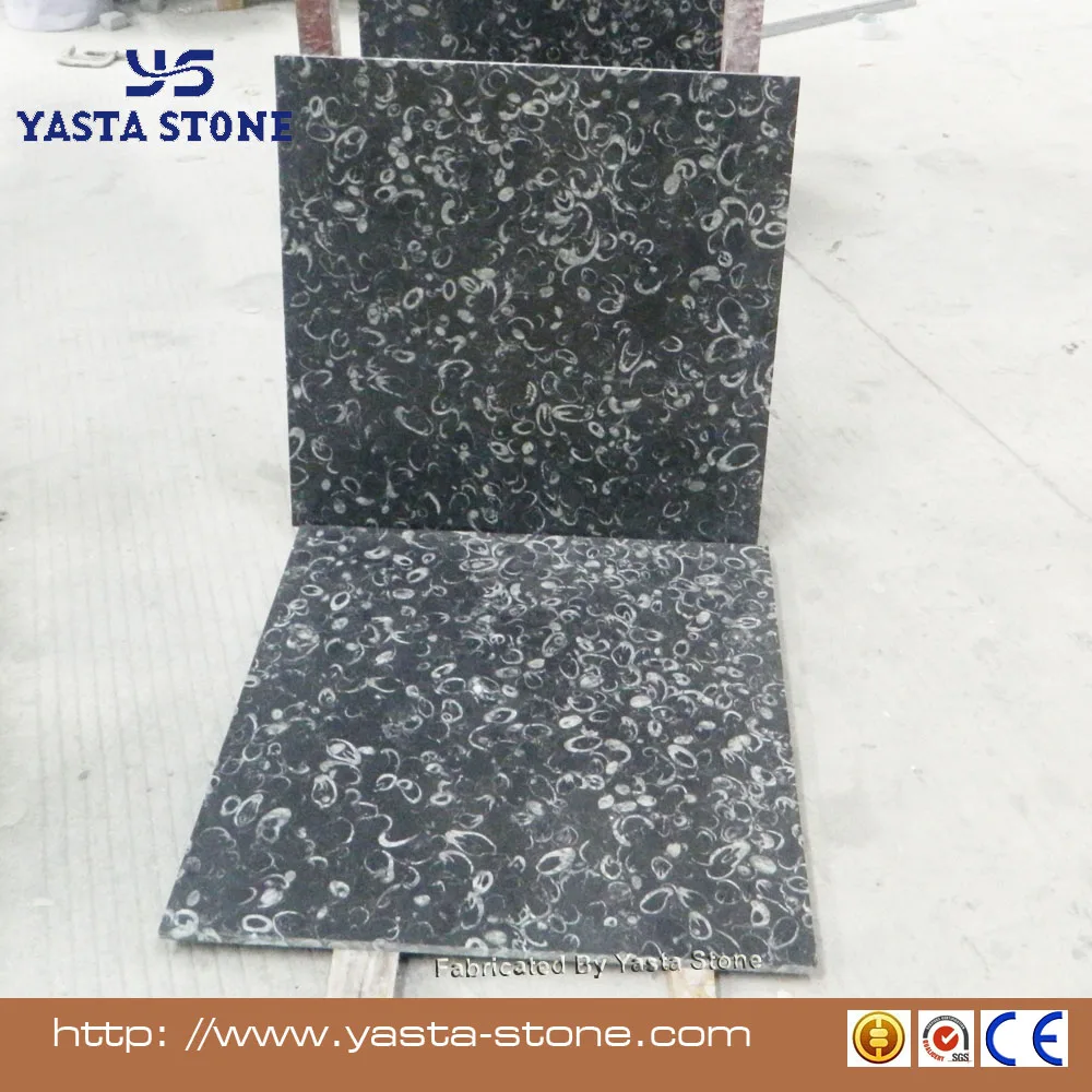New Natural Stone Colour Black Seashell Granite Floor Tile
