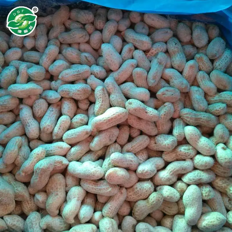  Стандартная экспортная упаковка HACCP замороженные овощи и арахис с красной кожей