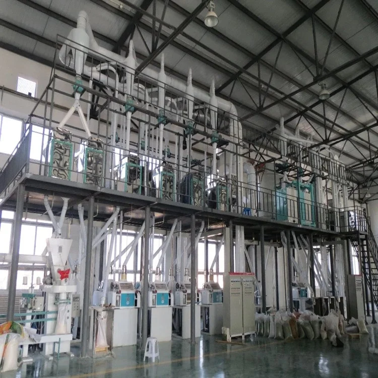 Lentil Cleaning, Peeling,Sorting and Packing Line Complete Turkey Lentil Processing Project