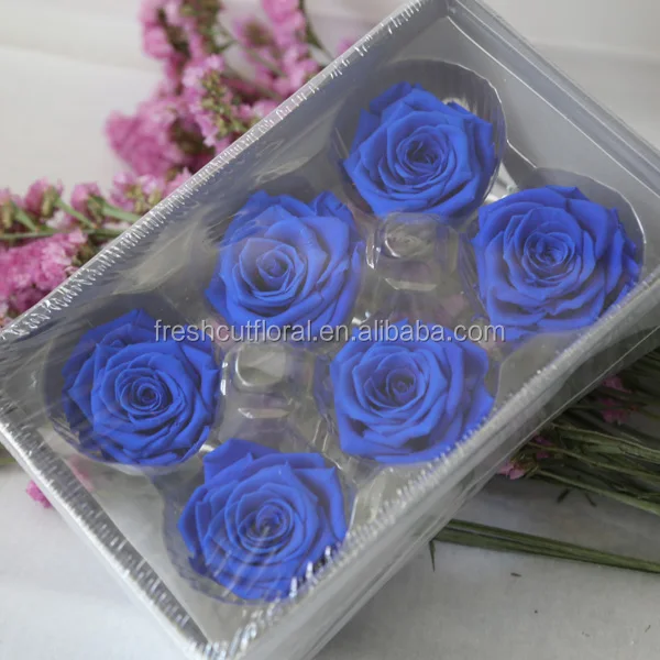 Various Hot Selling Preserved Rose Flower Multi-color Dried Rose Head Wholesale from Yunnan China