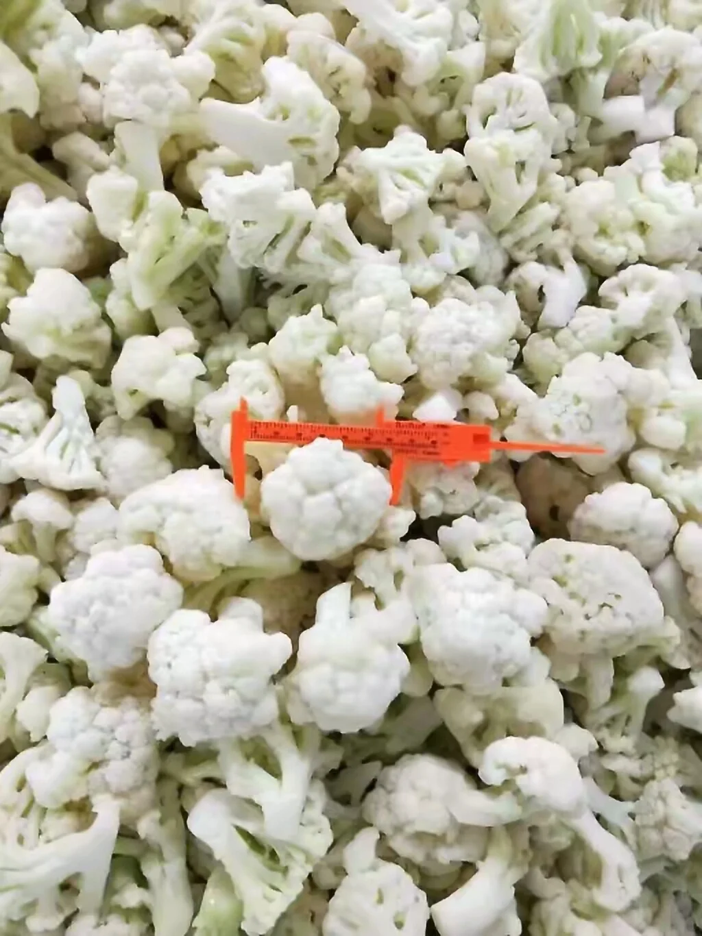 Frozen mixed vegetables from Qingdao UnionGold