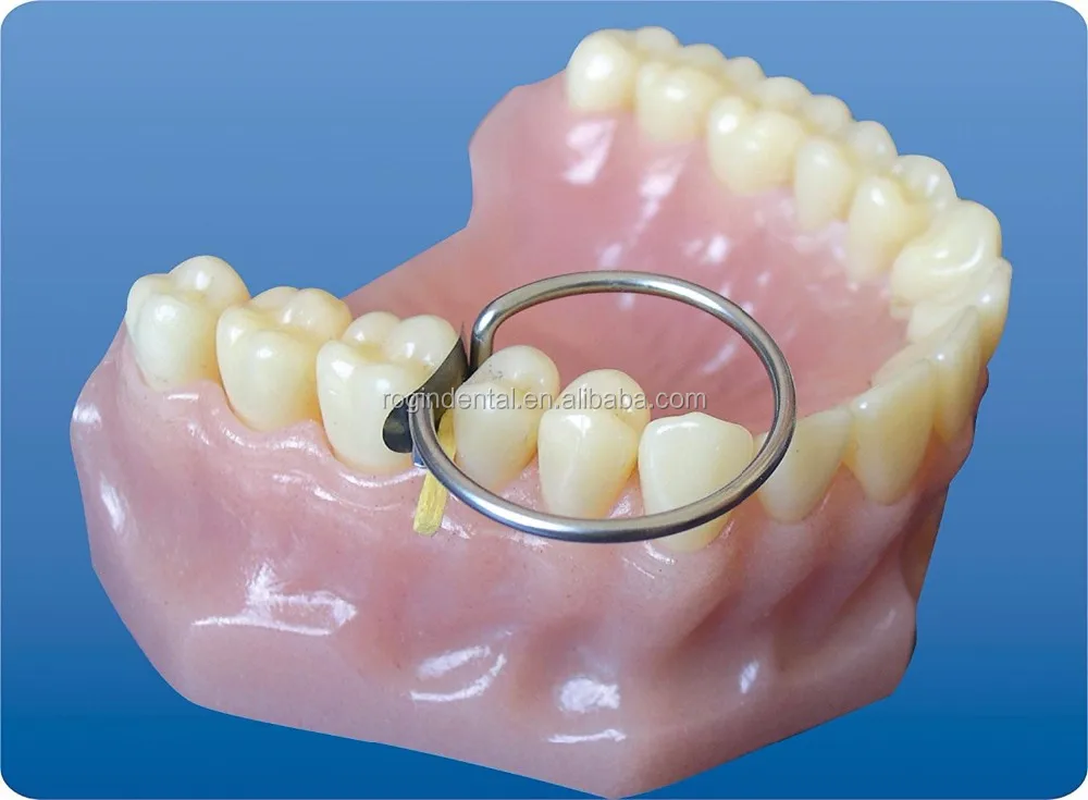 
Stainless Steel Matrices Dental Kit for Orthodontic Dental Laboratory and Dentist 