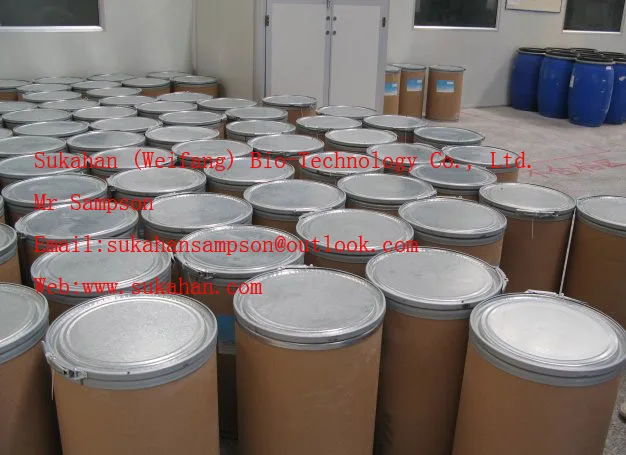 Multi-functional probiotic bacteria - Bacillus subtilis