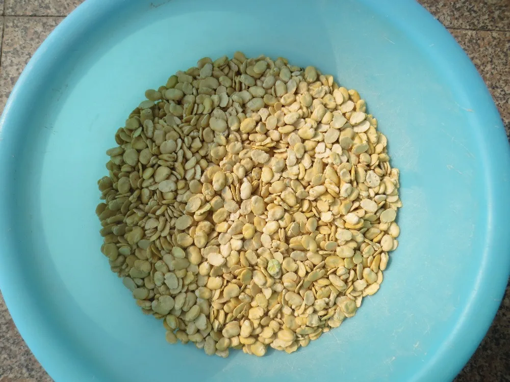 
2017 NEW TYPE 6FW-PB8 SEPERATE TO TWO PIECES BROAD BEAN PEELING MACHINE 