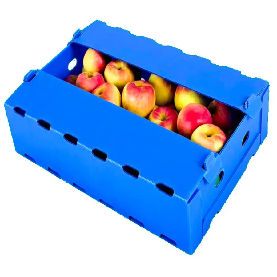 Fruit /Vegetable Packing Corrugated Plastic Box