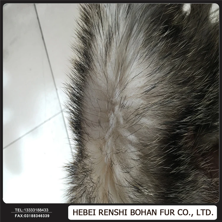 High Quality Cheap Custom Raw Badger Skins