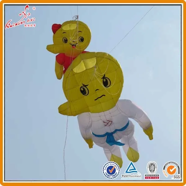 3D Large Inflatable kite from professional kite factory