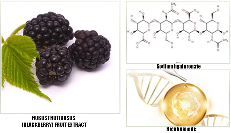 Purple Color Brightening Moisturiziing Anti Aging Blackberry Fruit And Vegetable Clay Facial Face Mask