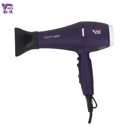 practical  2200w ion Hair Dryer Machine Hairdressing Salon Commercial Hair Dryers