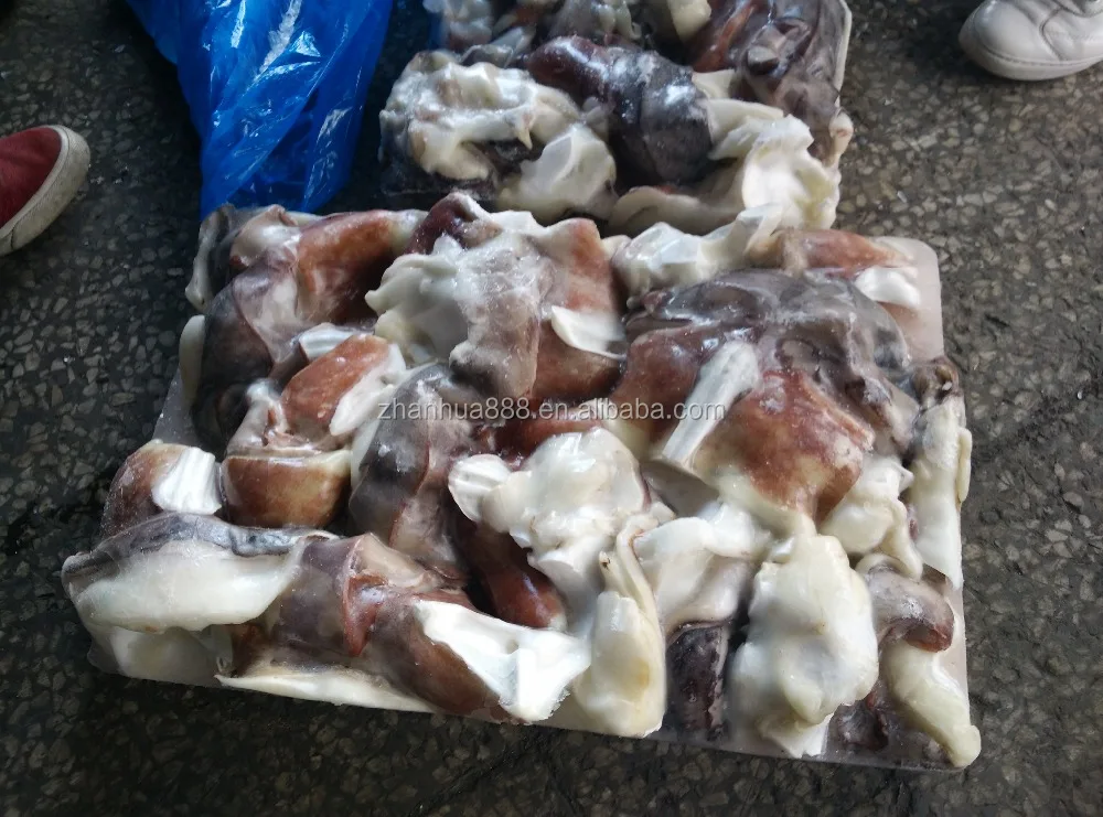 Giant Squid Neck Wholesale Squid Meat Raw Squid Neck