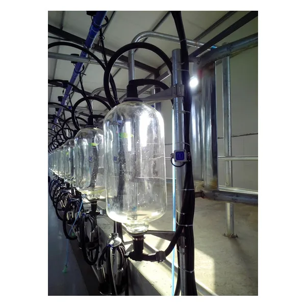 Cow goat milking machine equipment herringbone milking parlor