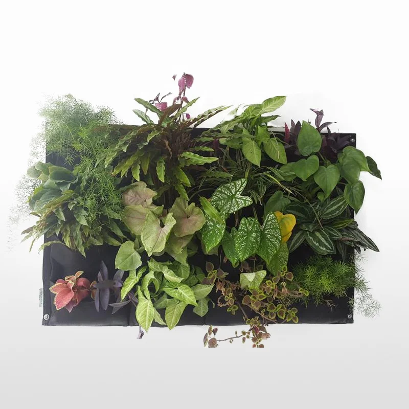 Living green wall planter system vertical garden pots