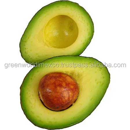 PREMIUM QUALITY OF AVOCADO - GOOD PRICE FROM VIETNAM