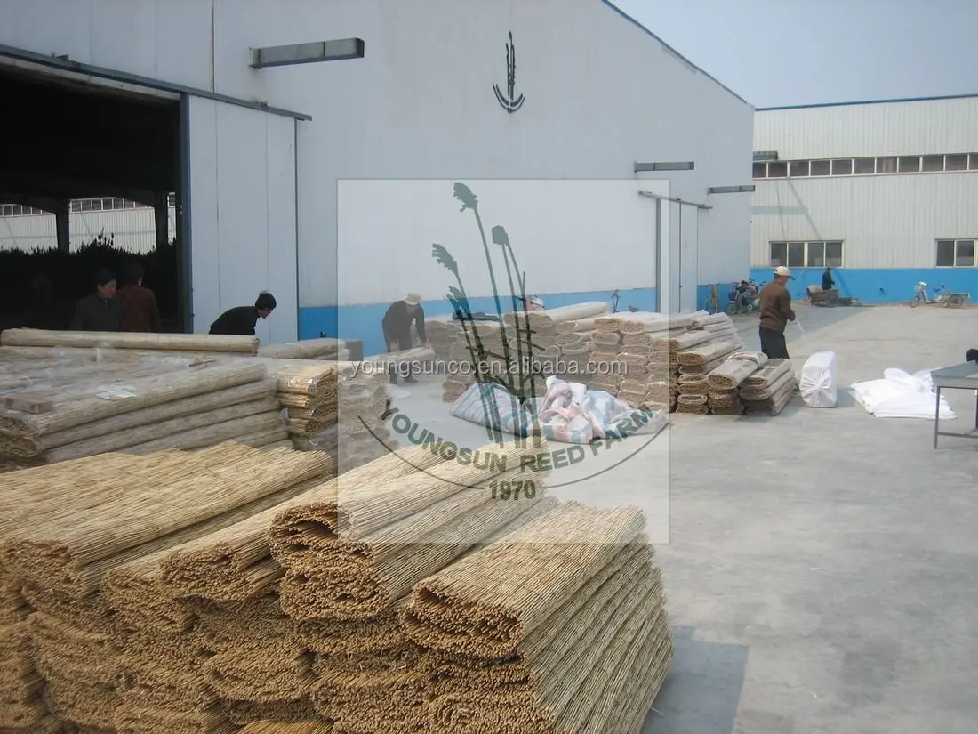 natural woven reed mat
