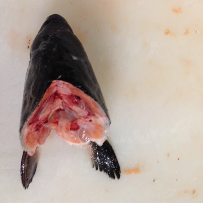 Новое поступление замороженных головок лосося v Cut 400 г вверх