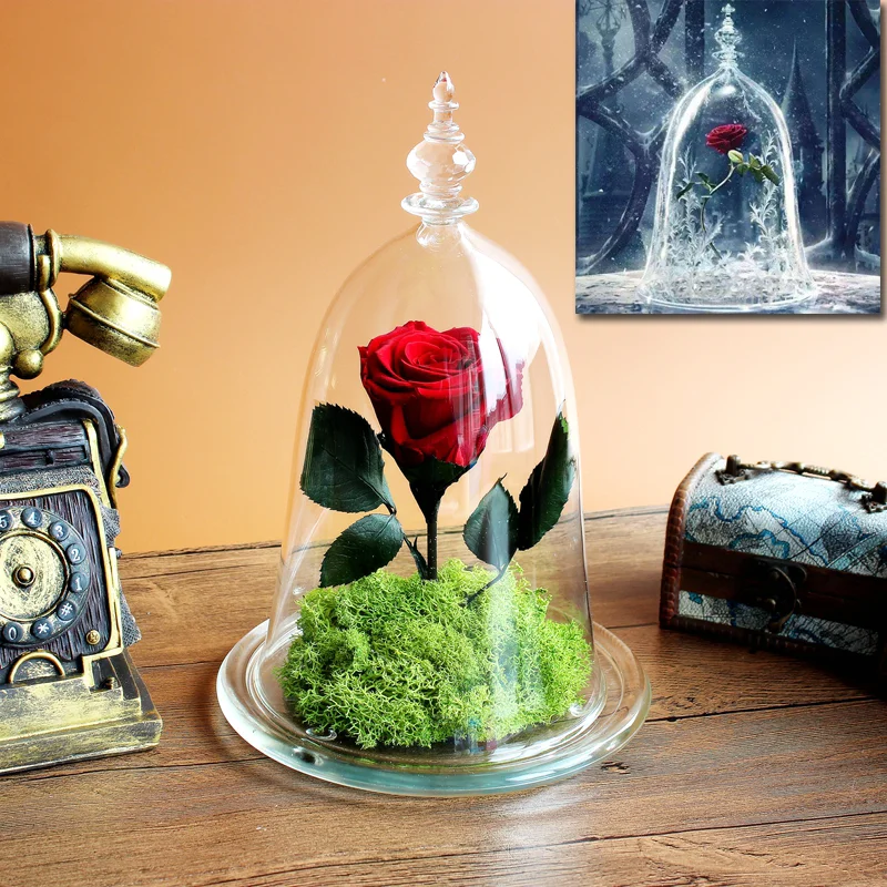 
Decorative wholesale glass dome with base in China 