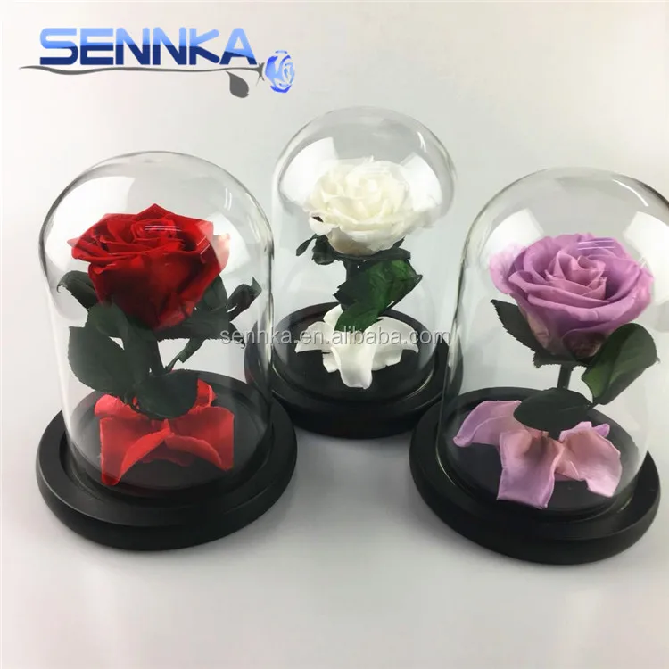 Yunnan Wholesale Preserved Rose in Glass Dome for Home Decoration
