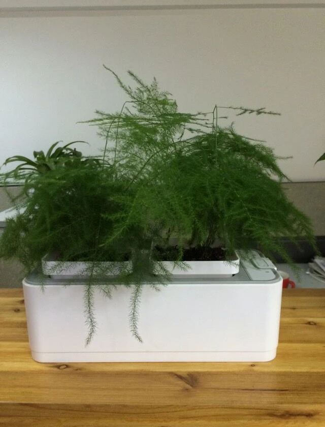 hydro kits herb box indoor hydroponics