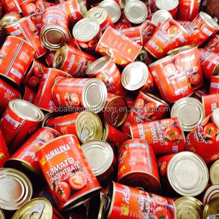 Tomato Paste in Can or Tin to Middle East