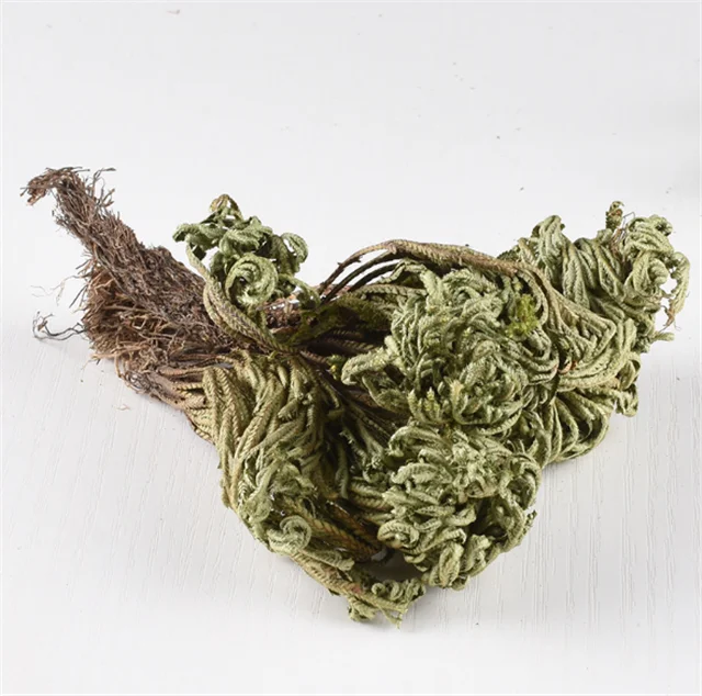 
Juan bai Activating blood to promote menstruation herb medicine dried selaginella spikemosses/whorlleaf stonecrop 